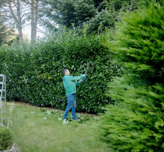 Illustration article : Pièces détachées et pièces de rechange : du neuf... et du moins neuf !