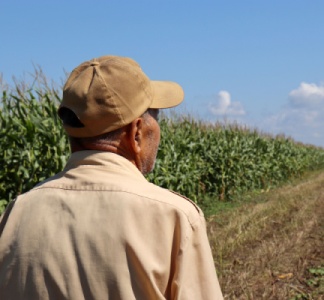 Illustration article : Bail rural : le consentement du bailleur en question…