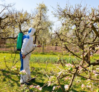 Illustration article : Commerce de fruits : une nouvelle limitation à connaître