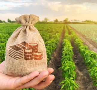 Illustration article : Dirigeants agricoles : une nouvelle déclaration de revenus ?