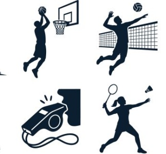 Illustration article : Organisation, gestion et financement du sport professionnel : réforme en cours