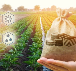 Illustration article : Agriculture à Saint-Pierre-et-Miquelon : une aide à l’installation possible