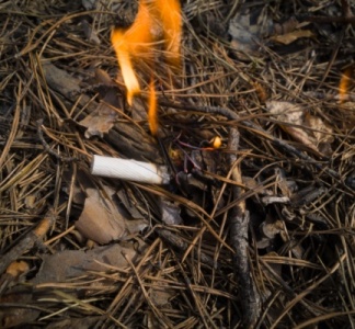 Illustration article : Prévention des incendies de forêts : la responsabilité élargie des producteurs (REP) du tabac est mise au travail !