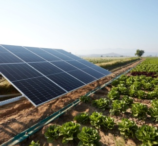 Illustration article : Agrivoltaïque : le cadre est posé