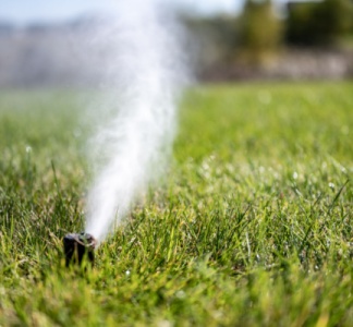 Illustration article : Arrosage des espace verts : est-il possible de recourir aux eaux usées ?