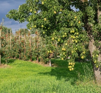 Illustration article : Aides aux agriculteurs : les soldes pour la campagne 2023 connus