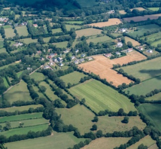 Illustration article : Un « Pacte en faveur de la haie » pour 2024