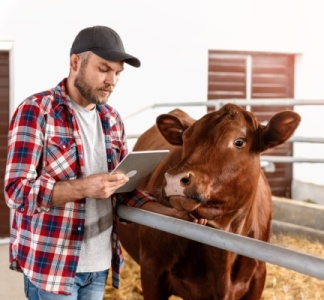 Illustration article : Agriculture : point sur la situation