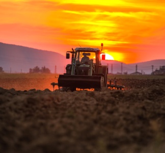Illustration article : Politique agricole commune (PAC) : des précisions pour l’outre-mer