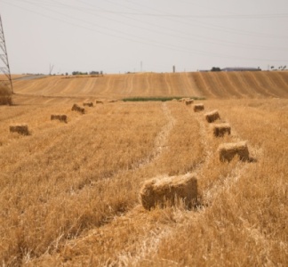 Illustration article : Un exploitant agricole… qui ne l’est pas vraiment ?