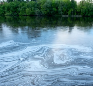 Illustration article : Préjudice écologique : réparation en nature et/ou indemnité ?