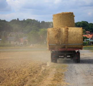 Illustration article : Bail rural et indemnité d’amélioration en fin de contrat : des précisions du juge