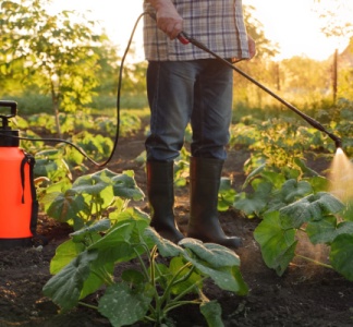 Illustration article : Pesticides : rappels utiles sur la réglementation