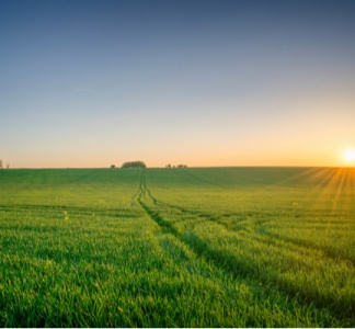 Illustration article : Zones agricoles : sont-elles réservées aux activités agricoles ?