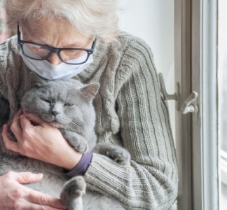 Illustration article : Loi bien-vieillir acte 2 : assurer la bientraitance des personnes vulnérables