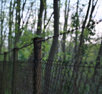 Illustration article : Espaces naturels et clôtures : de nouvelles mesures à connaître !