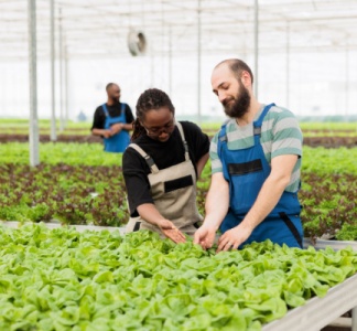 Illustration article : Loi Egalim 3 : de nouvelles évolutions en faveur des agriculteurs