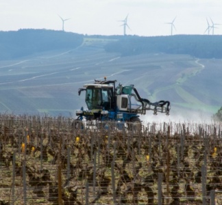 Illustration article : Certiphytos : une durée de validité prorogée d’un an ?