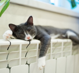 Illustration article : Immeuble collectif et chauffage collectif : un réglage précis