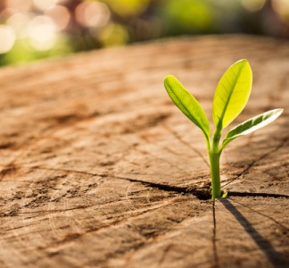 Illustration article : Agrément des associations de protection de l’environnement : qui ne dit mot consent !