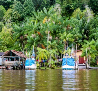 Illustration article : Guyane : un accord pour relancer la filière pêche