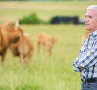 Illustration article : Report de l’âge légal de la retraite : un impact sur les baux ruraux ?