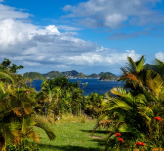 Illustration article : Outre-mer : les nouveautés 2024 (fiscales et sociales) à connaître