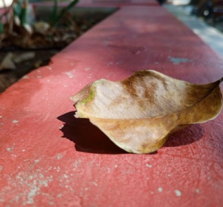 Illustration article : Taxe annuelle sur les logements vacants : dans quelles communes ?