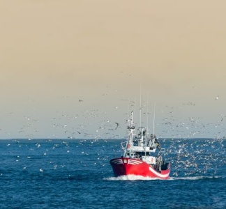 Illustration article : Pêcheurs : une nouvelle aide pour faire face à la flambée des prix de l’énergie