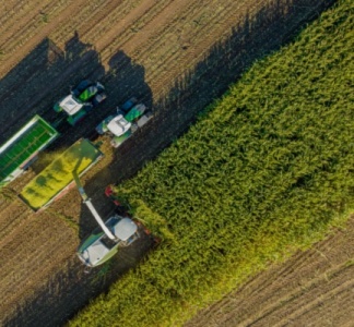 Illustration article : Bail rural : payer ses fermages en fonction de ses récoltes ?